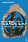 Attachment and Adult Clinical Practice : An Integrated Perspective on Developmental Theory, Neurobiology, and Emotional Regulation - eBook
