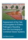 Assessment of the Fate of Surrogates for Enteric Pathogens Resulting From the Surcharging of Combined Sewer Systems - eBook