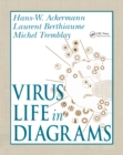 Virus Life in Diagrams - eBook