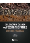 Soil Organic Carbon and Feeding the Future : Basic Soil Processes - eBook