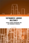 Vietnamese Labour Militancy : Capital-labour antagonisms and self-organised struggles - eBook