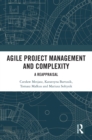Agile Project Management and Complexity : A Reappraisal - eBook
