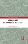 Meaning and Metaphysical Necessity - eBook