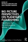 Big Picture Perspectives on Planetary Flourishing : Metatheory for the Anthropocene Volume 1 - eBook