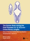 The Human Brain during the First Trimester 6.3- to 10.5-mm Crown-Rump Lengths : Atlas of Human Central Nervous System Development, Volume 2 - eBook