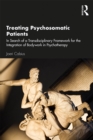 Treating Psychosomatic Patients : In Search of a Transdisciplinary Framework for the Integration of Bodywork in Psychotherapy - eBook