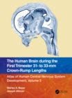 The Human Brain during the First Trimester 31- to 33-mm Crown-Rump Lengths : Atlas of Human Central Nervous System Development, Volume 5 - eBook