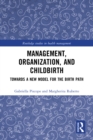 Management, Organization, and Childbirth : Towards a New Model for the Birth Path - eBook