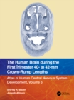The Human Brain during the First Trimester 40- to 42-mm Crown-Rump Lengths : Atlas of Human Central Nervous System Development, Volume 6 - eBook