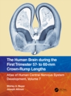 The Human Brain during the First Trimester 57- to 60-mm Crown-Rump Lengths : Atlas of Human Central Nervous System Development, Volume 7 - eBook