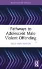 Pathways to Adolescent Male Violent Offending - eBook