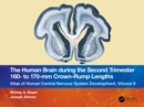 The Human Brain during the Second Trimester 160- to 170-mm Crown-Rump Lengths : Atlas of Human Central Nervous System Development, Volume 9 - eBook