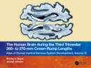 The Human Brain during the Third Trimester 260- to 270-mm Crown-Rump Lengths : Atlas of Central Nervous System Development, Volume 12 - eBook