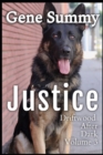 Justice : Driftwood after Dark - Volume 3 - eBook