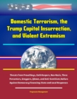 Domestic Terrorism, the Trump Capitol Insurrection, and Violent Extremism: Threats from Proud Boys, Oath Keepers, Neo-Nazis, Three Percenters, Groypers, QAnon, and Anti-Semitism; Dollars Against Democ - eBook