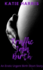 Traffic Jam Birth: An Erotic Urgent Birth Short Story - eBook