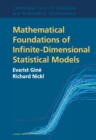 Mathematical Foundations of Infinite-Dimensional Statistical Models - eBook