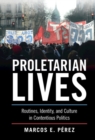 Proletarian Lives : Routines, Identity, and Culture in Contentious Politics - eBook