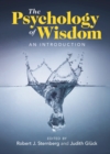 The Psychology of Wisdom : An Introduction - eBook