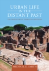 Urban Life in the Distant Past : The Prehistory of Energized Crowding - eBook