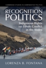 Recognition Politics : Indigenous Rights and Ethnic Conflict in the Andes - eBook