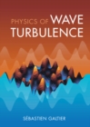 Physics of Wave Turbulence - eBook