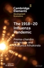 1918-20 Influenza Pandemic : A Retrospective in the Time of COVID-19 - eBook