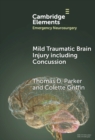Mild Traumatic Brain Injury Including Concussion - eBook