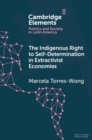 Indigenous Right to Self-Determination in Extractivist Economies - eBook