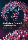 Multiphase Flow with Solid Particles - eBook
