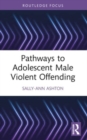 Pathways to Adolescent Male Violent Offending - Book