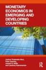 Monetary Economics in Emerging and Developing Countries - Book