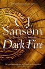 Dark Fire - Book
