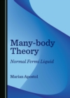 Many-body Theory : Normal Fermi Liquid - eBook