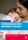 Depression in New Mothers, Volume 2 : Screening, Assessment, and Treatment Alternatives - eBook