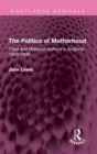 The Politics of Motherhood : Child and Maternal Welfare in England, 1900-1939 - eBook