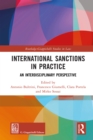 International Sanctions in Practice : An Interdisciplinary Perspective - eBook