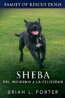 Sheba: del infierno a la felicidad - eBook