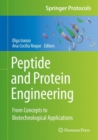 Peptide and Protein Engineering : From Concepts to Biotechnological Applications - eBook