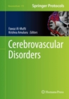 Cerebrovascular Disorders - eBook