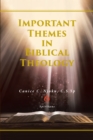 Important Themes in Biblical Theology - eBook