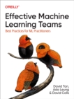Effective Machine Learning Teams - eBook