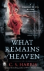 What Remains of Heaven - eBook