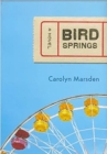 Bird Springs - eBook