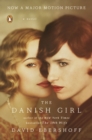 Danish Girl - eBook
