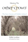 Meeting the Other Crowd - eBook