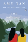 Hundred Secret Senses - eBook