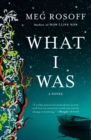 What I Was - eBook