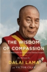 Wisdom of Compassion - eBook