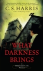 What Darkness Brings - eBook
